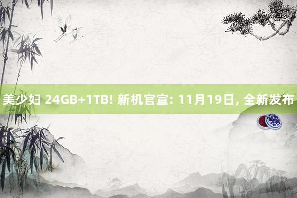 美少妇 24GB+1TB! 新机官宣: 11月19日， 全新发布