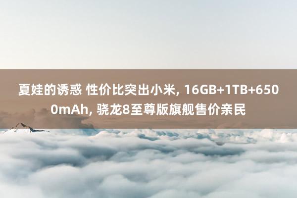 夏娃的诱惑 性价比突出小米， 16GB+1TB+6500mAh， 骁龙8至尊版旗舰售价亲民