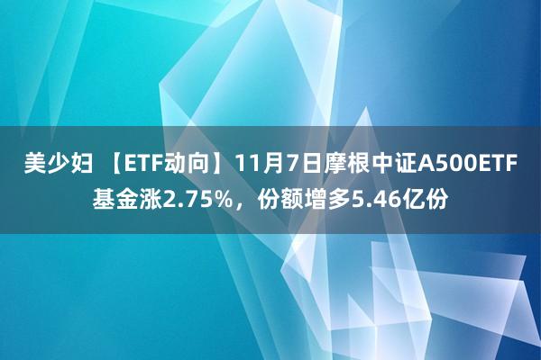 美少妇 【ETF动向】11月7日摩根中证A500ETF基金涨2.75%，份额增多5.46亿份