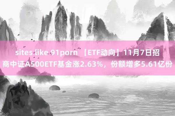 sites like 91porn 【ETF动向】11月7日招商中证A500ETF基金涨2.63%，份额增多5.61亿份