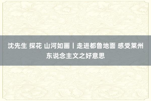 沈先生 探花 山河如画丨走进都鲁地面 感受莱州东说念主文之好意思