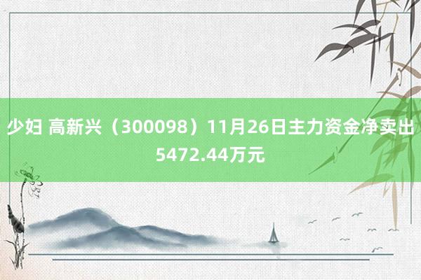 少妇 高新兴（300098）11月26日主力资金净卖出5472.44万元