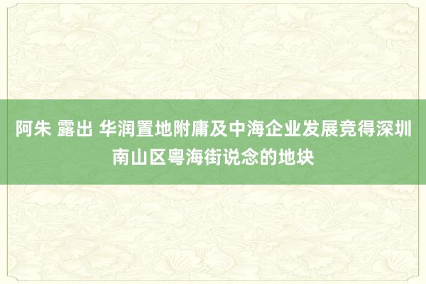 阿朱 露出 华润置地附庸及中海企业发展竞得深圳南山区粤海街说念的地块