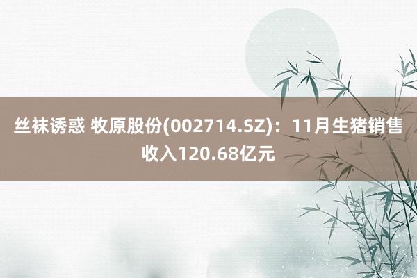 丝袜诱惑 牧原股份(002714.SZ)：11月生猪销售收入120.68亿元