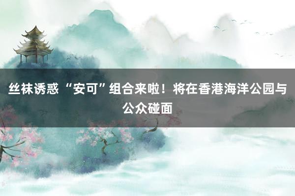 丝袜诱惑 “安可”组合来啦！将在香港海洋公园与公众碰面