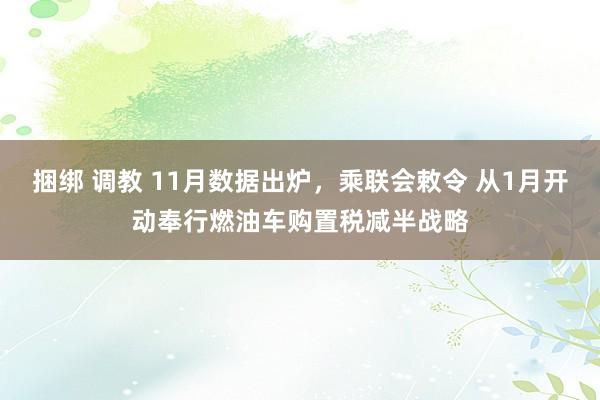 捆绑 调教 11月数据出炉，乘联会敕令 从1月开动奉行燃油车购置税减半战略