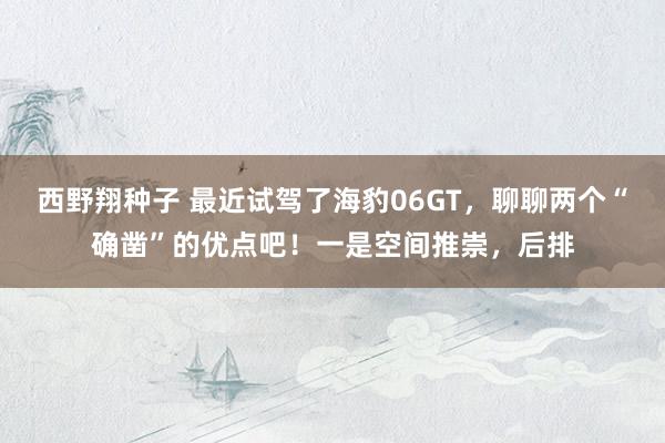 西野翔种子 最近试驾了海豹06GT，聊聊两个“确凿”的优点吧！一是空间推崇，后排