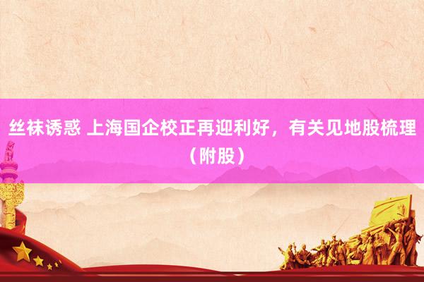 丝袜诱惑 上海国企校正再迎利好，有关见地股梳理（附股）