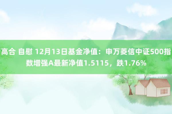 高合 自慰 12月13日基金净值：申万菱信中证500指数增强A最新净值1.5115，跌1.76%