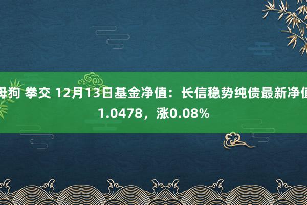 母狗 拳交 12月13日基金净值：长信稳势纯债最新净值1.0478，涨0.08%