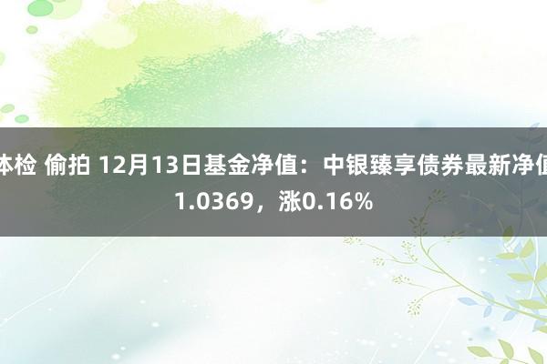 体检 偷拍 12月13日基金净值：中银臻享债券最新净值1.0369，涨0.16%