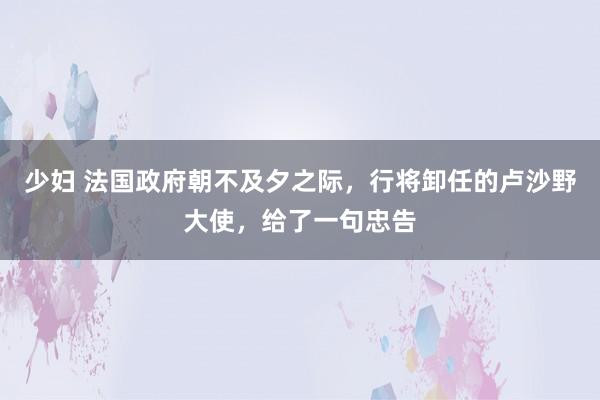 少妇 法国政府朝不及夕之际，行将卸任的卢沙野大使，给了一句忠告