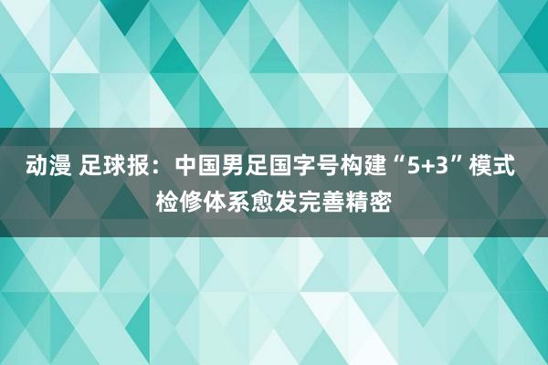 动漫 足球报：中国男足国字号构建“5+3”模式 检修体系愈发完善精密