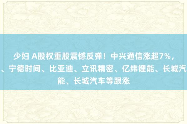 少妇 A股权重股震憾反弹！中兴通信涨超7%，工业富联、宁德时间、比亚迪、立讯精密、亿纬锂能、长城汽车等跟涨