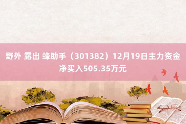 野外 露出 蜂助手（301382）12月19日主力资金净买入505.35万元