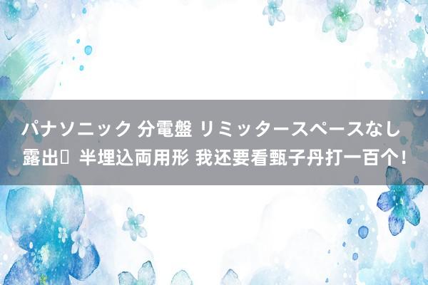 パナソニック 分電盤 リミッタースペースなし 露出・半埋込両用形 我还要看甄子丹打一百个！