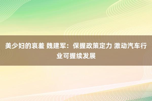 美少妇的哀羞 魏建军：保握政策定力 激动汽车行业可握续发展