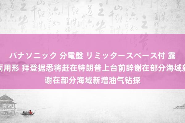 パナソニック 分電盤 リミッタースペース付 露出・半埋込両用形 拜登据悉将赶在特朗普上台前辞谢在部分海域新增油气钻探