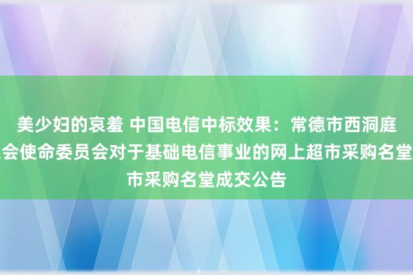 美少妇的哀羞 中国电信中标效果：常德市西洞庭惩办区工会使命委员会对于基础电信事业的网上超市采购名堂成交公告