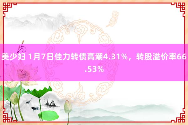 美少妇 1月7日佳力转债高潮4.31%，转股溢价率66.53%