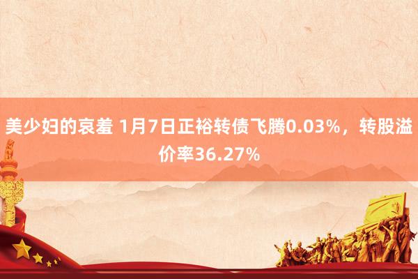 美少妇的哀羞 1月7日正裕转债飞腾0.03%，转股溢价率36.27%