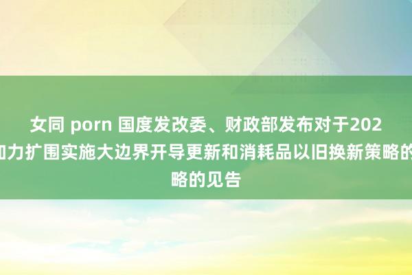 女同 porn 国度发改委、财政部发布对于2025年加力扩围实施大边界开导更新和消耗品以旧换新策略的见告