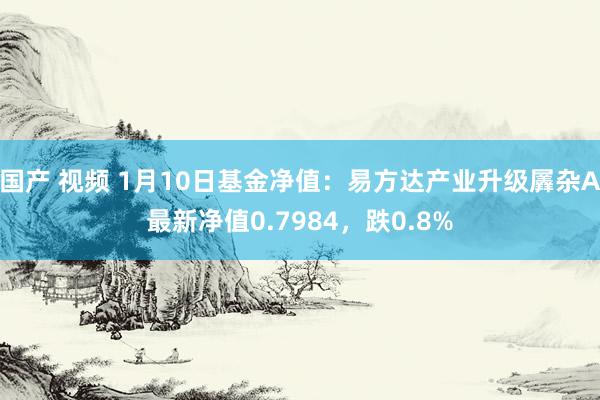 国产 视频 1月10日基金净值：易方达产业升级羼杂A最新净值0.7984，跌0.8%