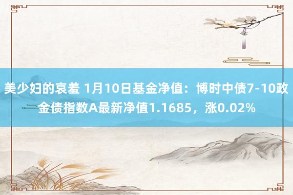 美少妇的哀羞 1月10日基金净值：博时中债7-10政金债指数A最新净值1.1685，涨0.02%