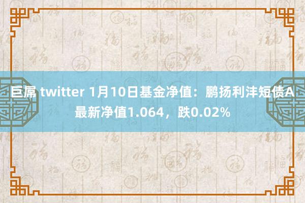 巨屌 twitter 1月10日基金净值：鹏扬利沣短债A最新净值1.064，跌0.02%