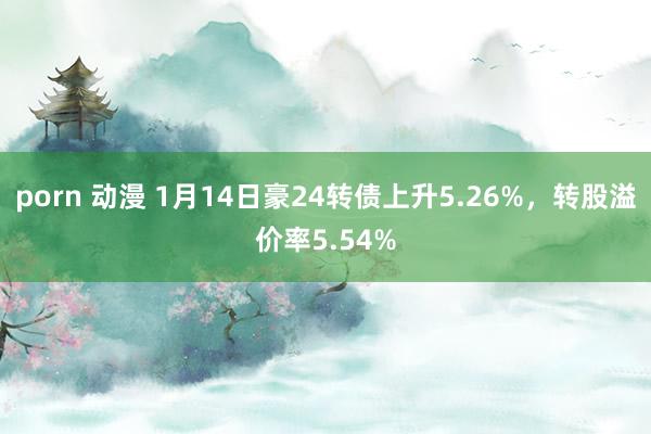 porn 动漫 1月14日豪24转债上升5.26%，转股溢价率5.54%