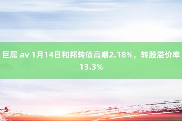 巨屌 av 1月14日和邦转债高潮2.18%，转股溢价率13.3%