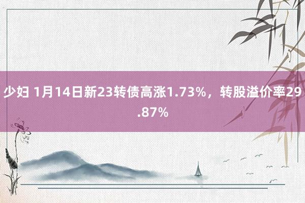 少妇 1月14日新23转债高涨1.73%，转股溢价率29.87%