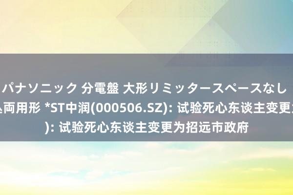 パナソニック 分電盤 大形リミッタースペースなし 露出・半埋込両用形 *ST中润(000506.SZ): 试验死心东谈主变更为招远市政府