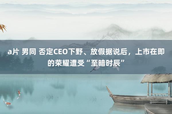 a片 男同 否定CEO下野、放假据说后，上市在即的荣耀遭受“至暗时辰”