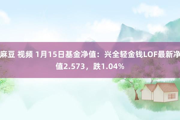 麻豆 视频 1月15日基金净值：兴全轻金钱LOF最新净值2.573，跌1.04%