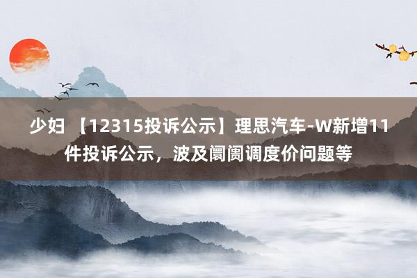 少妇 【12315投诉公示】理思汽车-W新增11件投诉公示，波及阛阓调度价问题等